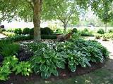 Landscaping Design For Shady Areas Photos