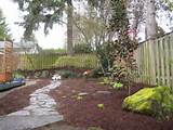 Images of Dog Friendly Backyard Landscaping Ideas
