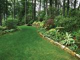 Photos of Wooded Yard Landscaping