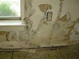 Images of Termite Damage Plaster Walls