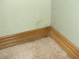 Pictures of Wet Carpet Along Baseboard
