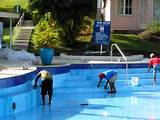Images of Swimming Pool Maintenance Cost