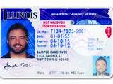 Pictures of Lost Drivers License What To Do