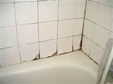 Shower Black Mold Removal Photos
