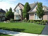 Photos of Best Trees For Front Yard Landscaping