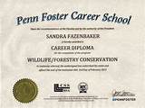 Penn Foster College Online Courses Reviews