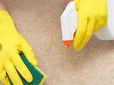 Images of Carpet Cleaning Vinegar