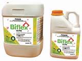 Biflex Termite Treatment