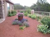 Images of Gravel Yard Landscaping
