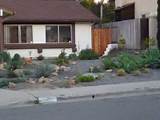 No Lawn Front Yard Landscaping