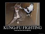 Photos of The Song Kung Fu Fighting