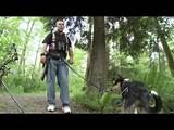 Images of Brigadoon Service Dogs