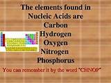 Images of Where Can Nucleic Acids Be Found
