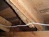 Repair Termite Damaged Floor Joists Pictures