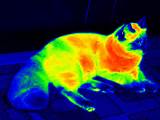 Infrared Heat Vision Images
