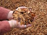 Wood Chips Or Mulch
