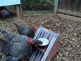 Pictures of Solar Water Heater For Chickens