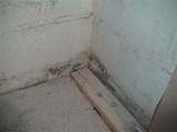 Mold In Basement Foundation Images