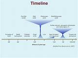 Timeline Of The Theory Of Evolution Photos