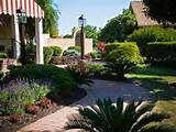 Pictures of Landscaping Services In Yuma Az