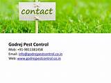 Pest Control Services From Godrej Images