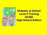 Diabetes In School Setting