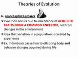 Photos of Theory Of Evolution Notes