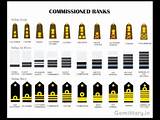 Images of Ranks In The Army In Order