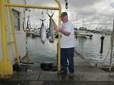 Pictures of Waikiki Deep Sea Fishing