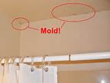 Home Remedies For Mold Removal Photos