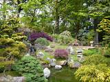 Pool Garden Landscaping