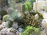 Images of Landscaping Phoenix
