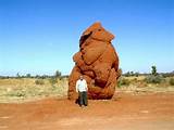 Termite Hills Australia Pictures