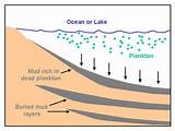 Pictures of How Are Fossil Fuels Formed