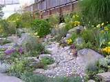 Pictures of Urban Landscaping
