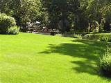 Pictures of York Maine Landscaping Supplies