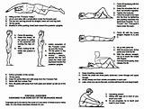 Spine Physical Therapy Exercises Photos