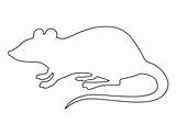 Photos of Rat Outline