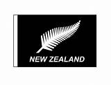 Photos of New Zealand Silver Fern