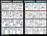 Dumbbell Full Body Workout Pictures