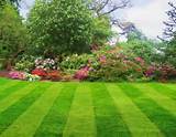 Images of Yard Mowing Designs