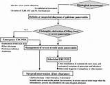 Pictures of Management Of Acute Pancreatitis Guidelines