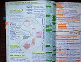 Medical School Notes Pictures