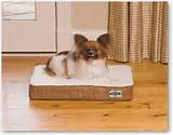 Heated Beds For Dogs Reviews Images