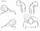 Photos of Neck And Shoulder Muscle Strengthening Exercises