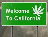 Recreational Marijuana California Laws