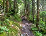 Photos of Hiking Trails In The Great Smoky Mountains