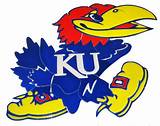 University Of Kansas Jayhawk Logo Pictures