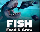Feed The Fish Game Photos
