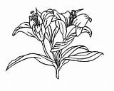 Photos of Funeral Flowers Clipart